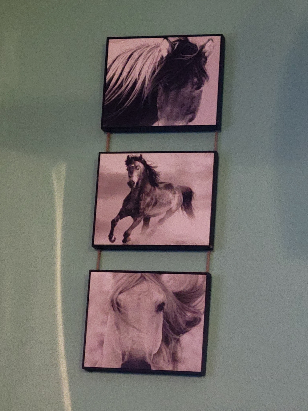 Black and White Horse Triptych Wall Art
